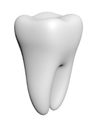 Dr. Avaneesh Shrama-Dentist in Mayur Vihar